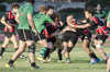 thumb_DSC_7342.JPG